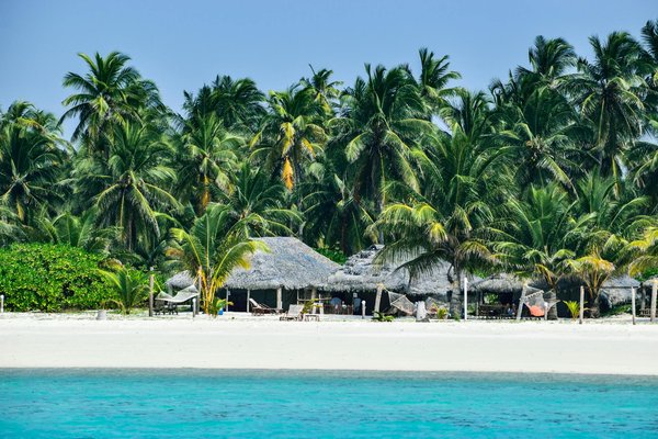 Uncover your ideal norfolk broads getaway: enjoy birdwatching tours included!